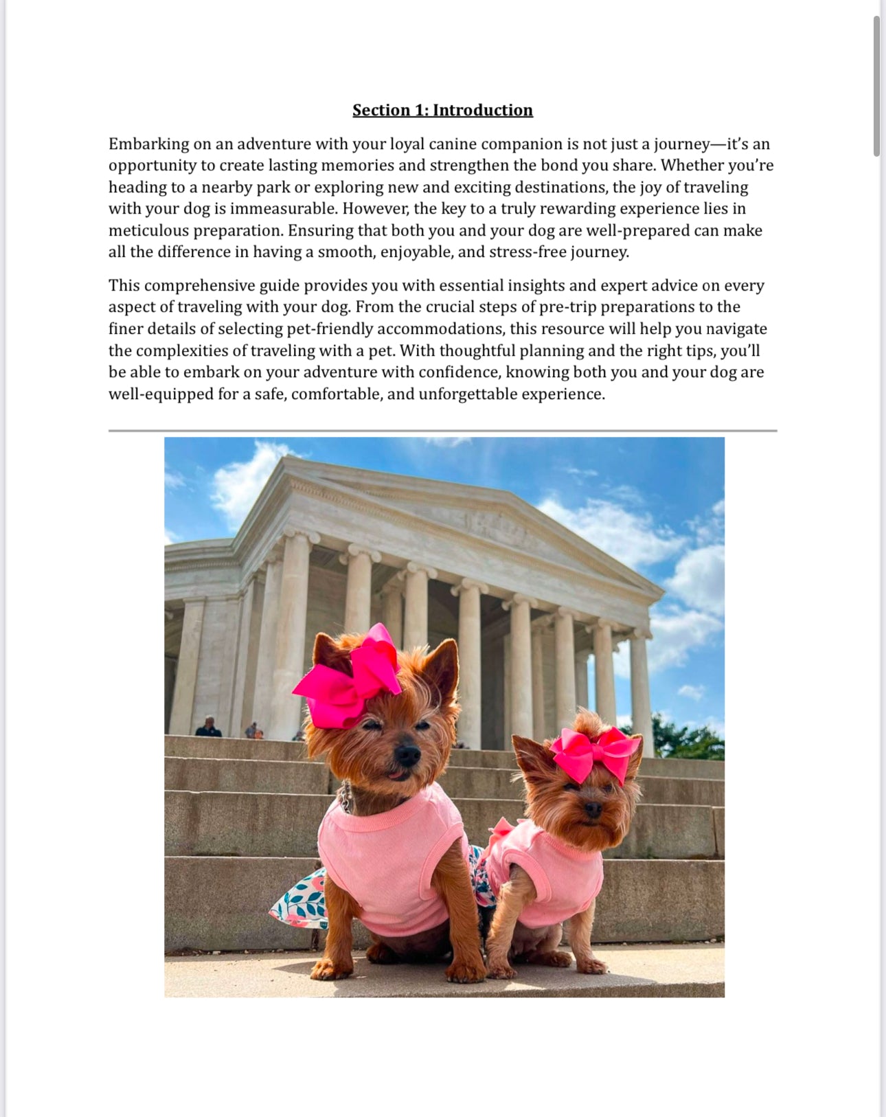 Traveling with a Dog 101 E-Book