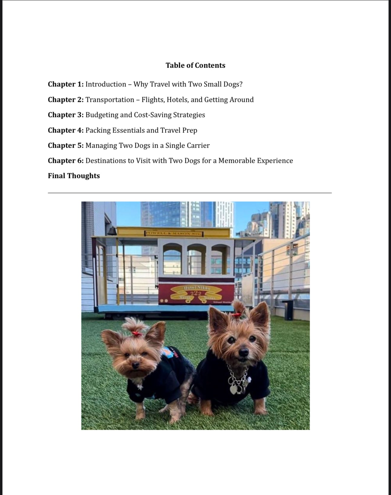 Traveling with Two Small Dogs - E-Book