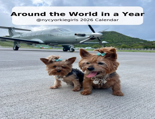 Book Cover Variant Thumbnail